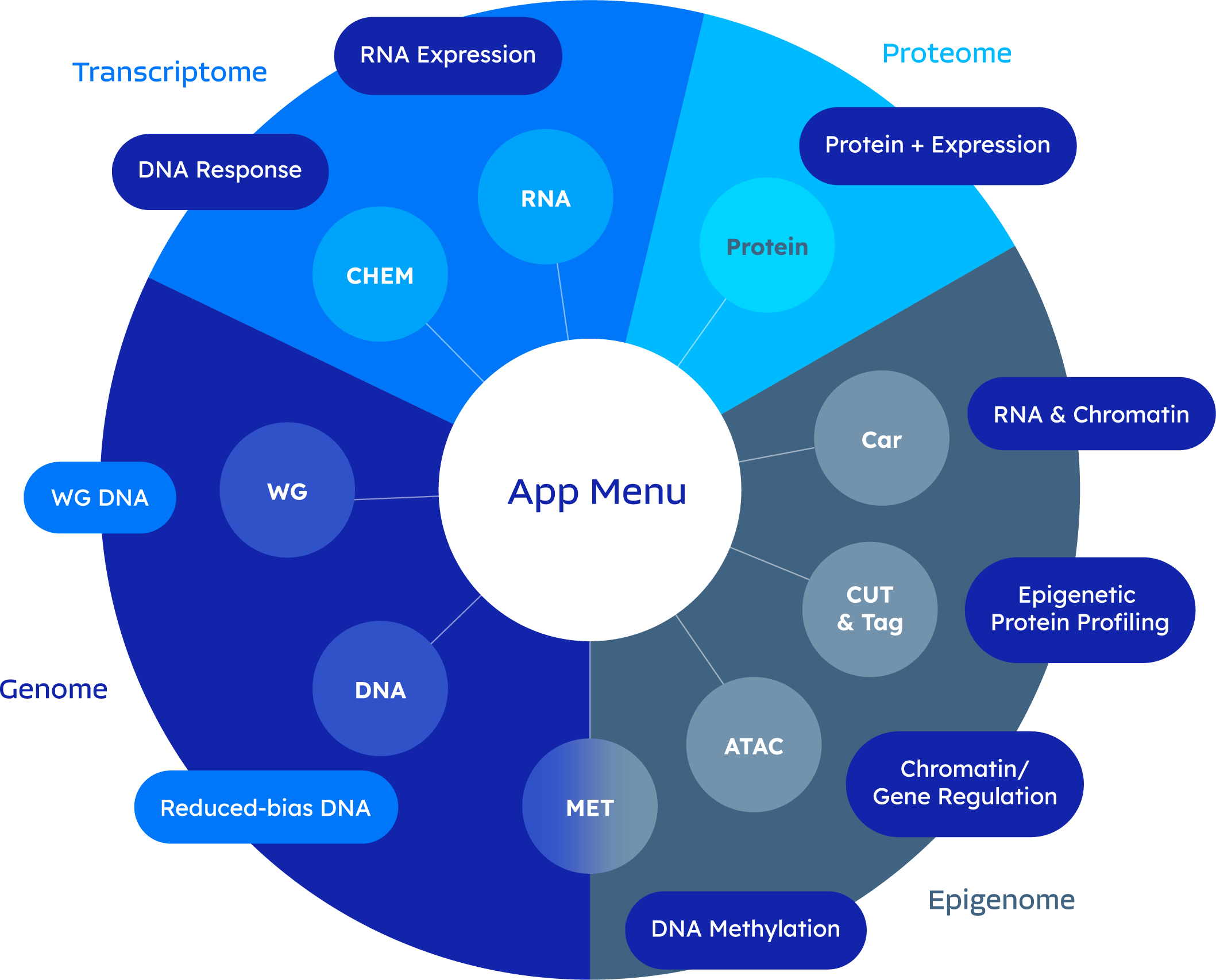 ScaleBio_Applications_Wheel@2x