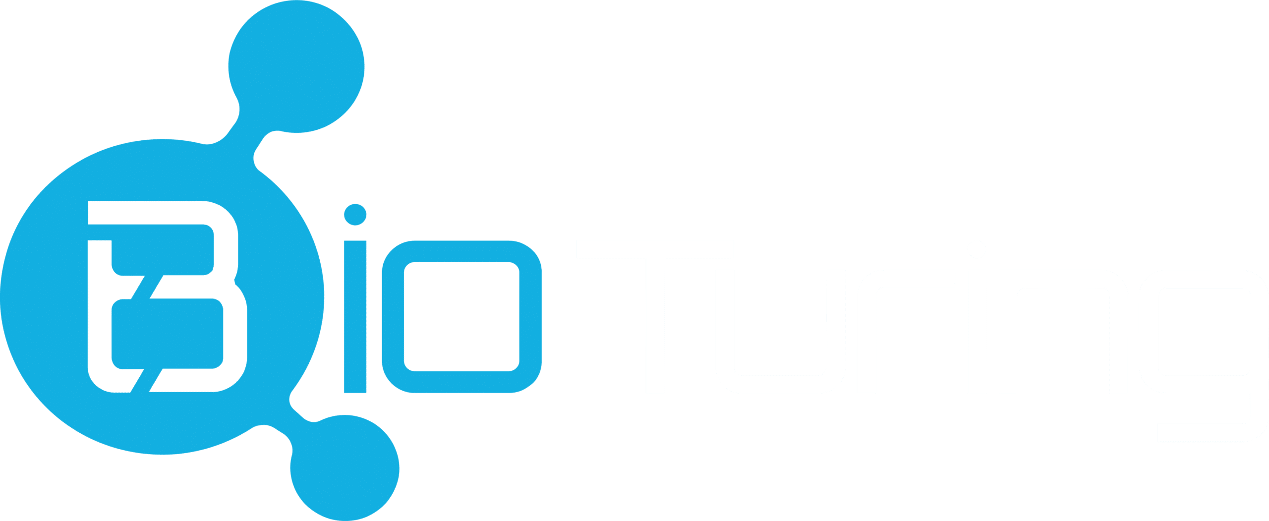 Logo White