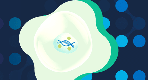 Methylation