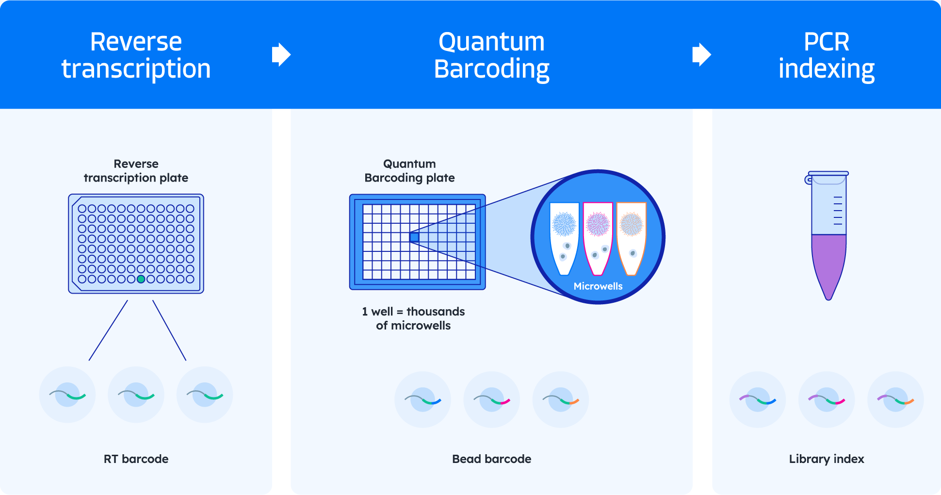 Quantum barcoding tech update